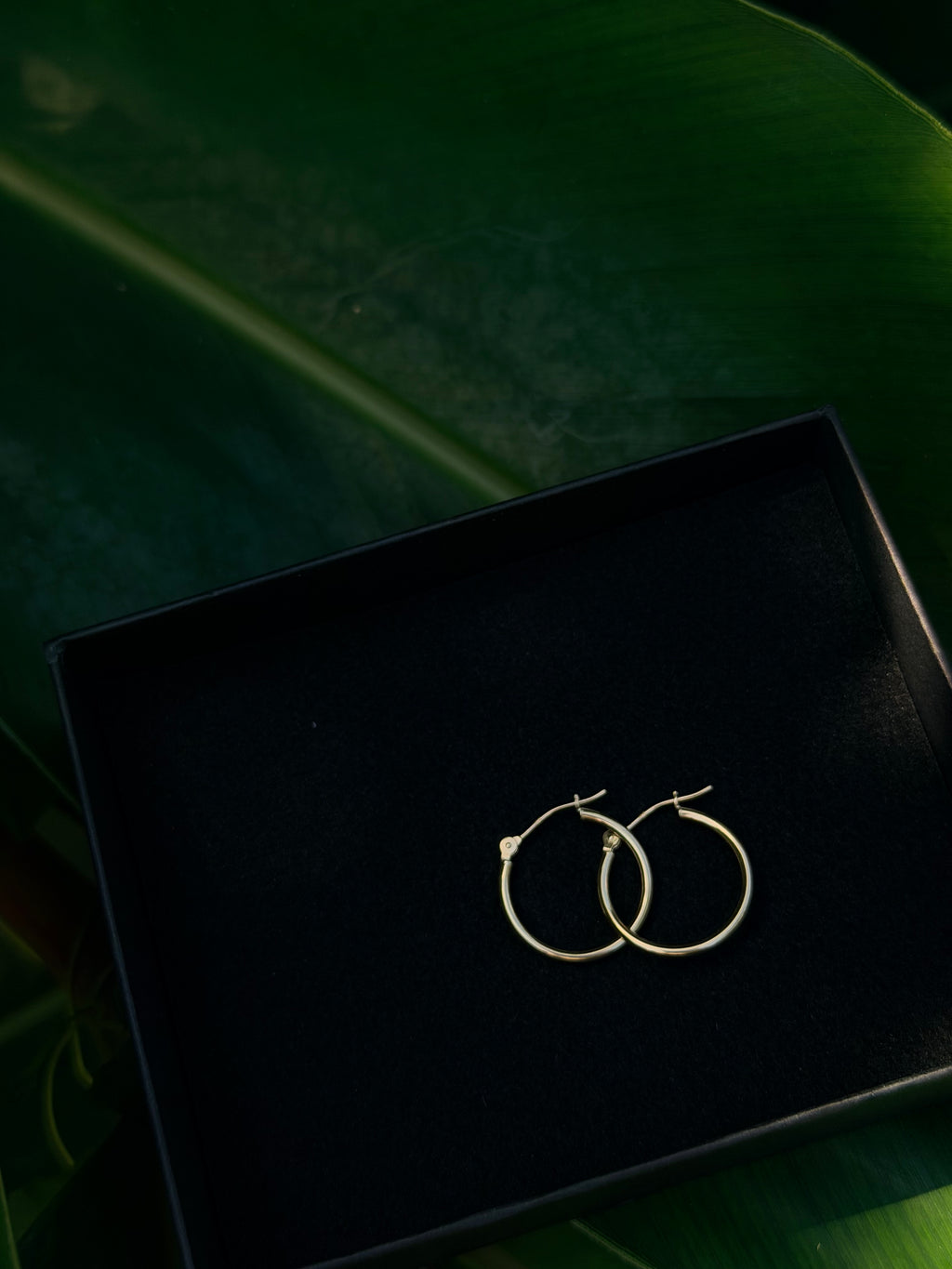 14k Solid Gold Classic Hoop Earrings, Medium Size, High-Polish Finish, Secure Latch-Back Clasp