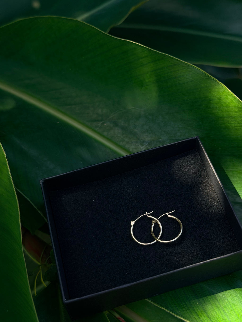 14k Solid Gold Classic Hoop Earrings, Medium Size, High-Polish Finish, Secure Latch-Back Clasp