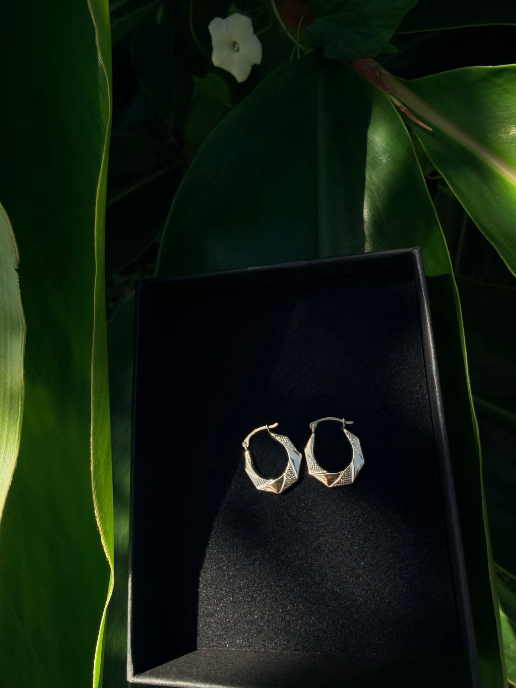 Solid 14k Luxe Pattern Hoops